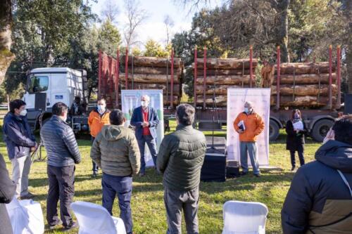 Lanzamiento Buena Madera Araucanía 2