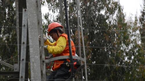 Más Mujer Forestal 6