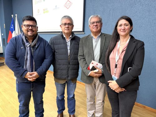 Mesa-Innovacion-Araucania-4