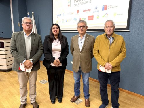 Mesa-Innovacion-Araucania-5