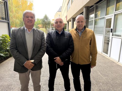 Mesa-Innovacion-Araucania-6