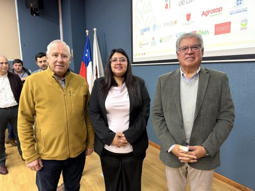 Mesa-Innovacion-Araucania-7