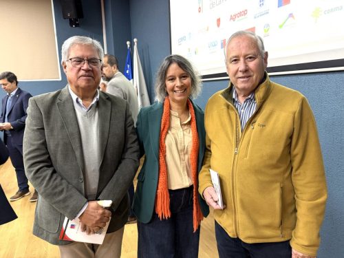 Mesa-Innovacion-Araucania-8