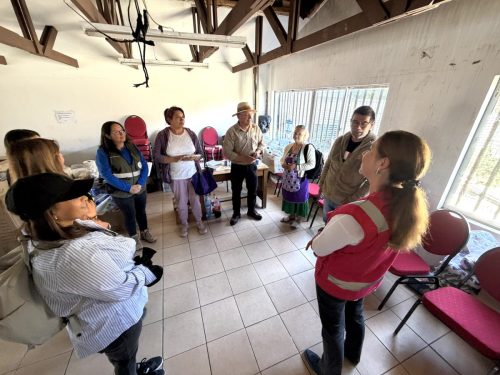 Penco-Villa-Alegre-6