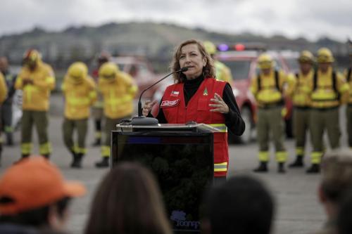 Plan-de-Accion-2024-2025-Prevencion-de-Incendios-30