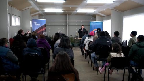 Plantacion-Araucania-4