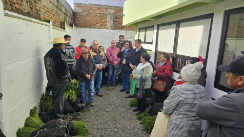 Plantaciones-2