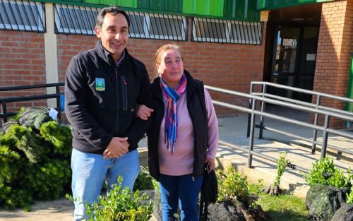 Plantaciones-6