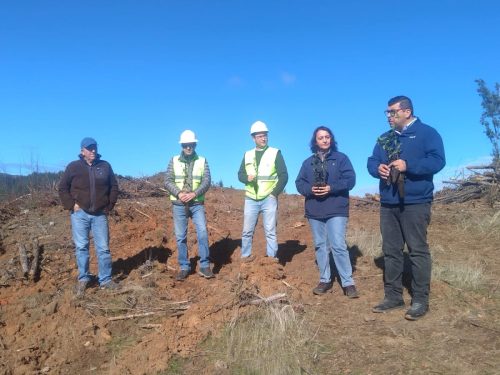 Plantaciones-Nuble-1