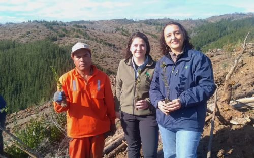 Plantaciones-Nuble-7