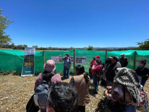 Proyecto de plantaciones y protección de cuencas 1