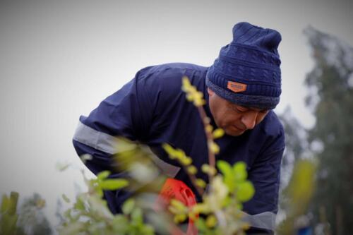 Proyecto de plantaciones y protección de cuencas 11