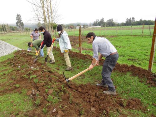 Proyecto de plantaciones y protección de cuencas 4