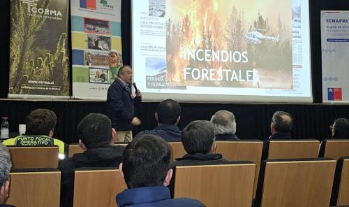 Seminario-4