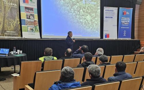 Seminario-7