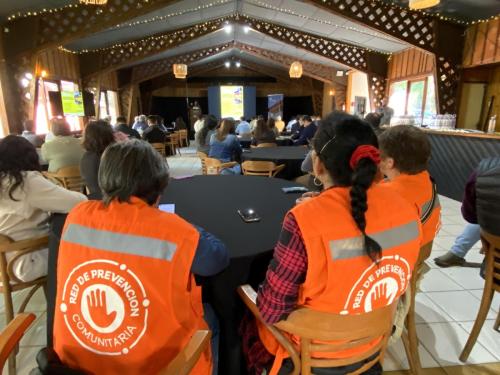 Seminario-Araucania-2