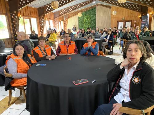 Seminario-Araucania-3