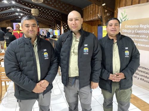 Seminario-Prevencion-incendios-Temuco-11