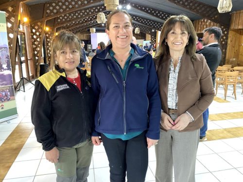 Seminario-Prevencion-incendios-Temuco-14