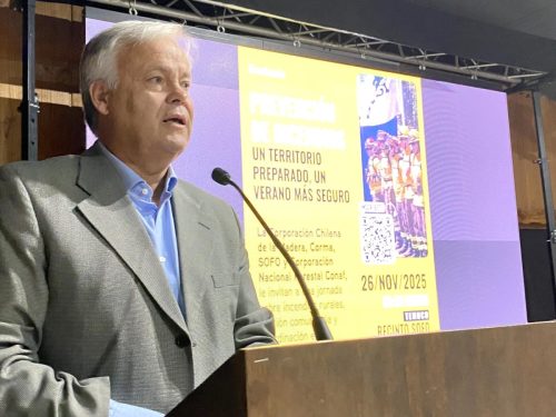 Seminario-Prevencion-incendios-Temuco-15