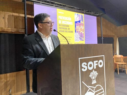 Seminario-Prevencion-incendios-Temuco-16