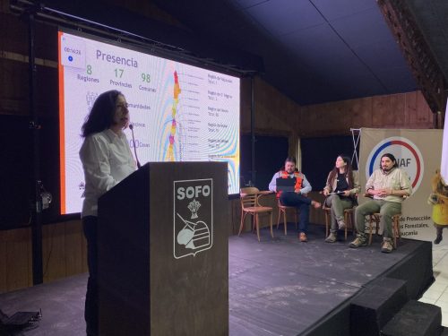 Seminario-Prevencion-incendios-Temuco-23