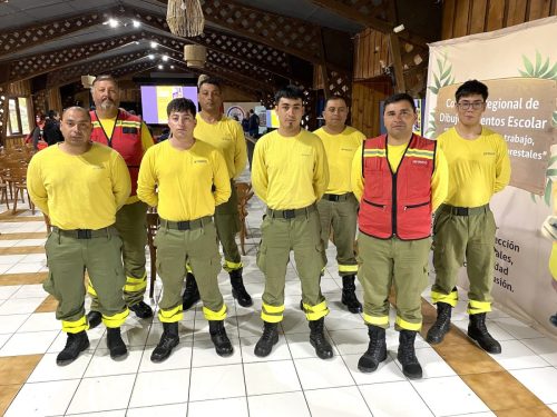 Seminario-Prevencion-incendios-Temuco-4