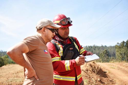 Trabajo Incendio Constitución 4