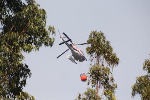 Trabajo Incendio Constitución 8