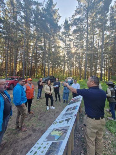 WhatsApp-Image-2025-11-11-at-9.51.00-AM