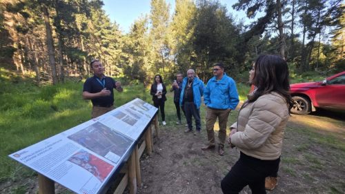 WhatsApp-Image-2025-11-12-at-4.51.07-PM