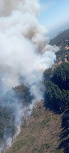 multifoco incendio en Tropen 1