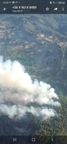 multifocos en incendio Tropen, Arauco